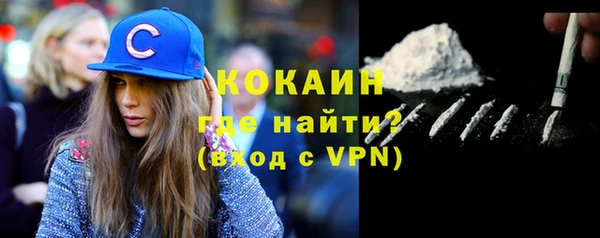 гидра Верхний Тагил