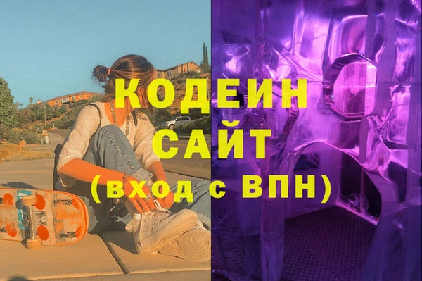 гидра Верхний Тагил