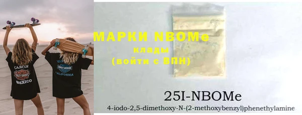 гидра Верхний Тагил