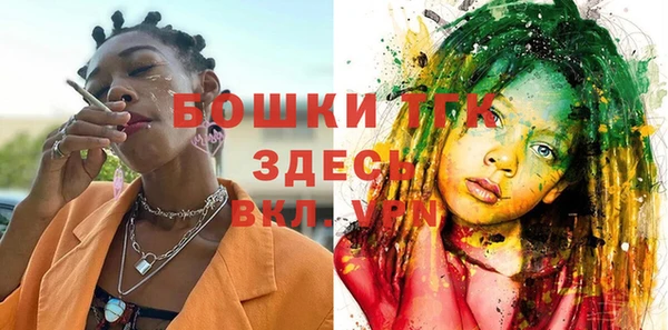 соль ск Бронницы