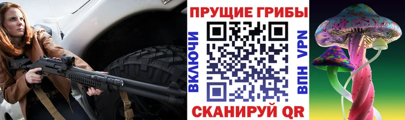 даркнет клад Ковров Галлюциногенные грибы мицелий